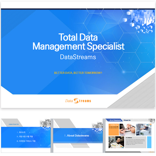 DataStreams — 제안 · 발표 PPT